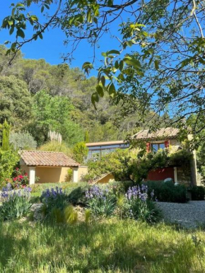 Maison Provençale avec piscine en bord de ruisseau